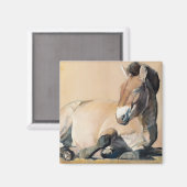 Aimant Plateau Sun (Recto/Verso)