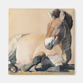 Aimant Plateau Sun (Devant)