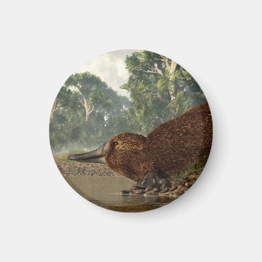 Aimant Platype sur la rive (Devant)