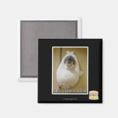 Aimant Pleine vitesse vers l'avant (Recto/Verso)