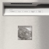 Aimant Pleurage de Tcherubim, 1521 (In Situ (Lave-vaisselle))