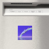 Aimant Plongée avec arc-en-ciel (In Situ (Lave-vaisselle))