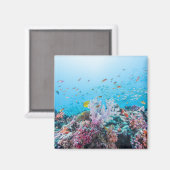 Aimant Plongée Avec Barrière Colorée Et Corail (Recto/Verso)