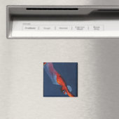 Aimant Plongeur 2 (In Situ (Lave-vaisselle))