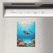 Aimant Plongeur à Cozumel au Mexique (In Situ (Lave-vaisselle))