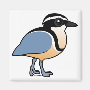 Aimant Plover égyptien
