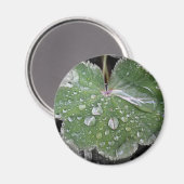 Aimant pluie lourde (Recto/Verso)