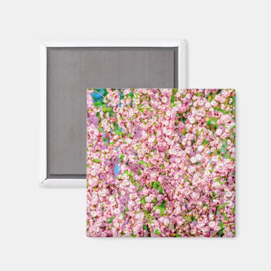 Aimant Plum à fleurs (Recto/Verso)