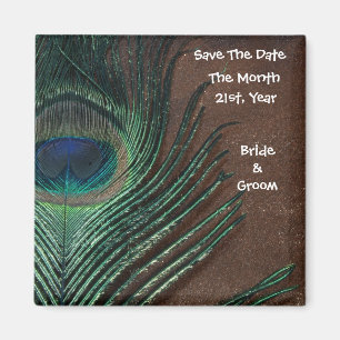 Aimant Plume de paon avec le brun et l'or