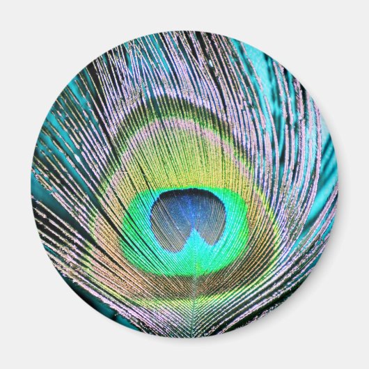 Aimant Plume de paon sur Turquoise (Devant)