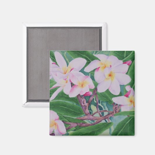 Aimant Plumeria (Recto/Verso)