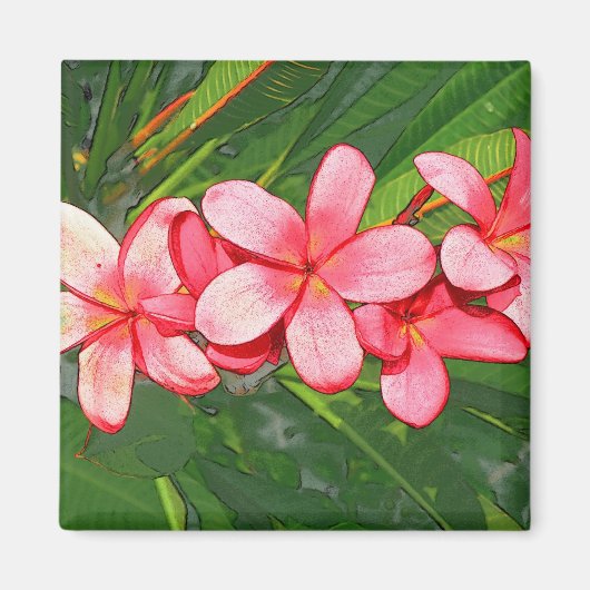 Aimant Plumeria (Devant)