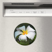 Aimant Plumeria blanche Frangipani Hawaii (In Situ (Lave-vaisselle))