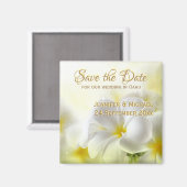 Aimant Plumeria blanche hawaïenne (Recto/Verso)