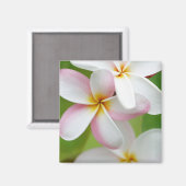 Aimant Plumeria Frangipani Hawaii Flower Customized Blank (Recto/Verso)