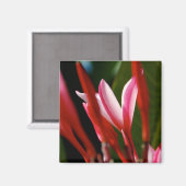 Aimant Plumeria rose (Recto/Verso)