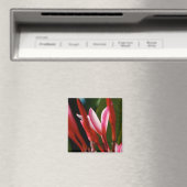 Aimant Plumeria rose (In Situ (Lave-vaisselle))