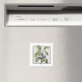 AIMANT PLUMES (In Situ (Lave-vaisselle))
