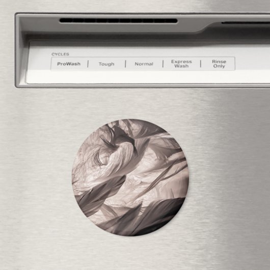 Aimant Plumes (In Situ (Lave-vaisselle))