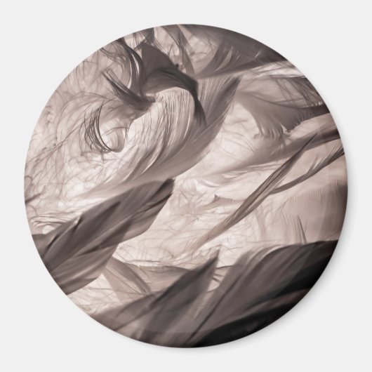 Aimant Plumes (Devant)