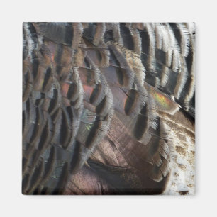 Aimant Plumes de Dindon Sauvage I Design Abstrait de la N