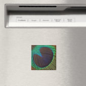 Aimant Plumes de paon (In Situ (Lave-vaisselle))