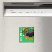 Aimant Plumes de paon Enregistrer l'aimant de date (In Situ (Lave-vaisselle))