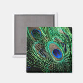 Aimant Plumes de paon Lucky (Recto/Verso)