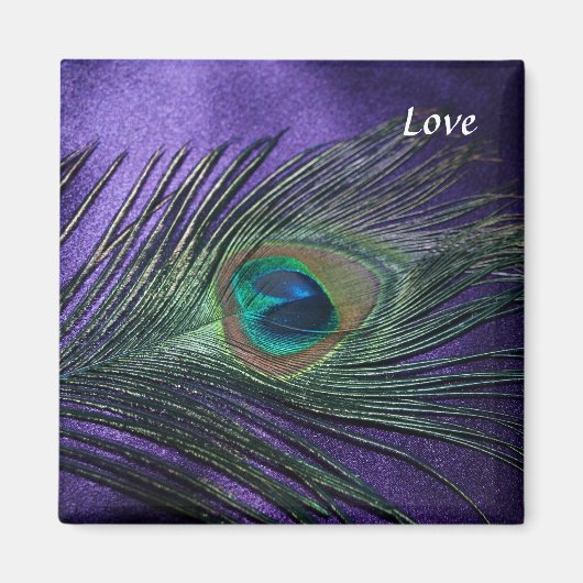Aimant Plumes de paon violet soyeux (Devant)