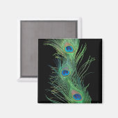 Aimant Plumes vertes avec noir (Recto/Verso)