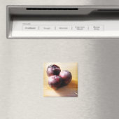 Aimant Plums encore vie (In Situ (Lave-vaisselle))