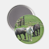 Aimant Plus de chevaux ! (Recto/Verso)