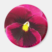 Aimant Plutôt Purple Pansy Floral (Devant)
