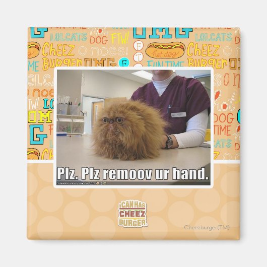 Aimant Plz remoov votre main (Devant)