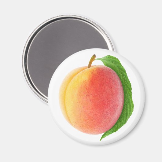 Aimant Poche (Recto/Verso)