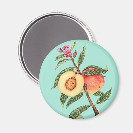 Aimant Poche (Recto/Verso)