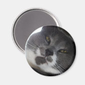 Aimant Poe 2 (Recto/Verso)