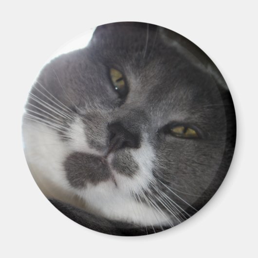 Aimant Poe 2 (Devant)