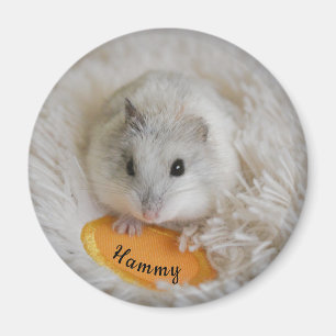 Aimant Poète de hamster nain blanc personnalisé