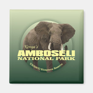 Aimant POIDS d'Amboseli NP (éléphant africain)