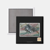 Aimant Poids propre (Recto/Verso)