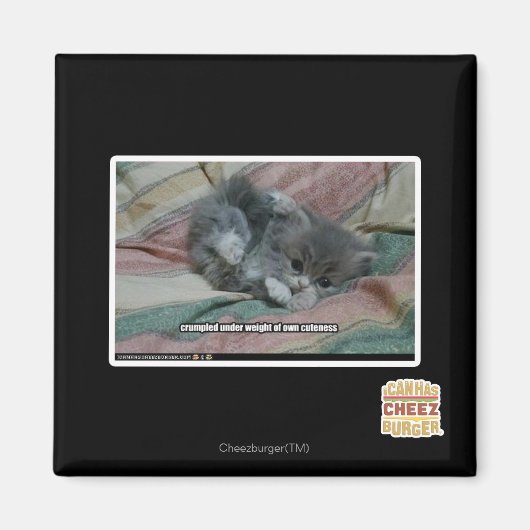 Aimant Poids propre (Devant)