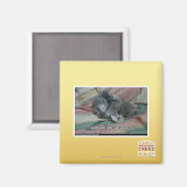 Aimant Poids propre (Recto/Verso)