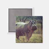 Aimant Poing hippo debout à la caméra en Afrique Foliage (Recto/Verso)
