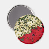 Aimant Poinsettias blanches et rouges I Holiday Floral (Recto/Verso)