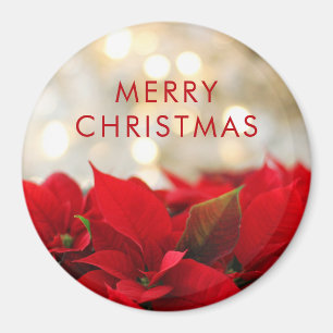 Aimant Poinsettias rouges avec Noël d'or de Bokeh
