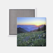 Aimant Point d'obstruction coucher de soleil, Pôle olympi (Recto/Verso)