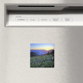 Aimant Point d'obstruction coucher de soleil, Pôle olympi (In Situ (Lave-vaisselle))