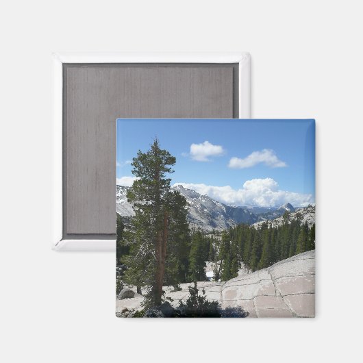 Aimant Point III d'Olmsted dans le parc national Yosemite (Recto/Verso)