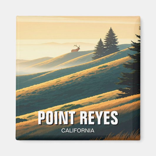 Aimant Point Reyes National Seashore Elk (Devant)